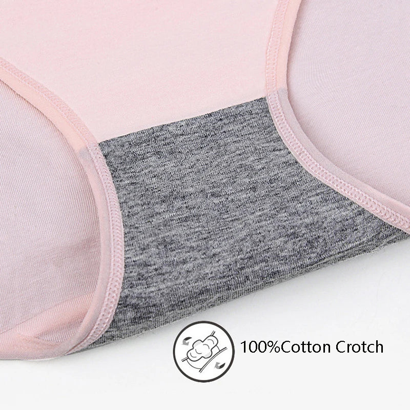 Hervera 3-Pack Menstrual Briefs